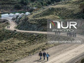  Migrants approach the coast of the northeastern Greek island of Lesbos on Thursday, Nov. 28, 2015. About 5,000 migrants are reaching Europe...