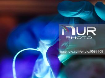 A nurse touches a tiny hand of one of the quintuplets seen in an incubator. Krakow, Poland on February 14, 2023. Three girls and two boys we...