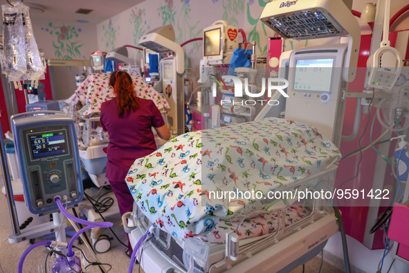 A nurse is taking care of the quintuplets laying in an incubator. Krakow, Poland on February 14, 2023. Three girls and two boys were born in...