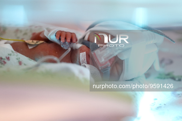 One of the quintuplets, which were born in the University Hospital, is seen in an incubator. Krakow, Poland on February 14, 2023. Three girl...