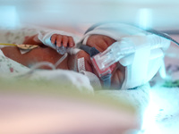 One of the quintuplets, which were born in the University Hospital, is seen in an incubator. Krakow, Poland on February 14, 2023. Three girl...