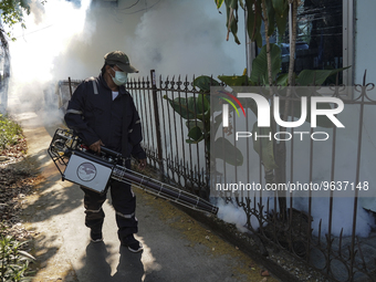 A Thai health officer sprays chemicals to kill mosquitos for the health precaution against dengue fever inside a community in Bangkok, Thail...