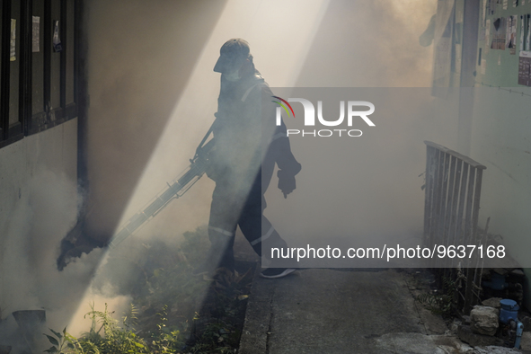 A Thai health officer sprays chemicals to kill mosquitos for the health precaution against dengue fever inside a community in Bangkok, Thail...