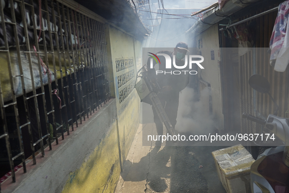 A Thai health officer sprays chemicals to kill mosquitos for the health precaution against dengue fever inside a community in Bangkok, Thail...