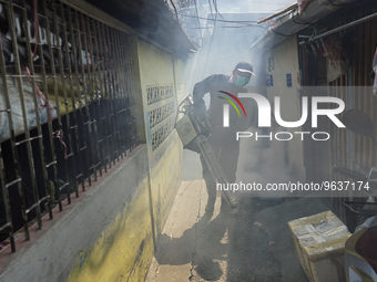 A Thai health officer sprays chemicals to kill mosquitos for the health precaution against dengue fever inside a community in Bangkok, Thail...