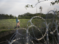 RoszRoszke,  Hungary- September 14, 2015-- Immigrants walking behind a barbed wire fence as Hungary began closing it's southern border on Mo...