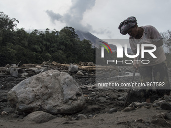 Indonesia, Karo, September 28 : A woman worker collects the volcanic stones to sold as cold lava material of sinabung volcano eruption in Ka...