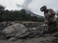 Indonesia, Karo, September 28 : A woman worker collects the volcanic stones to sold as cold lava material of sinabung volcano eruption in Ka...