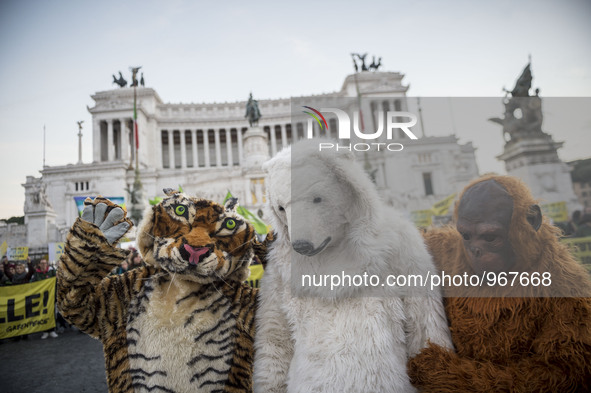 Demonstrators march during a rally calling for action on climate change on November 29, 2015 in Rome a day before the launch of the COP21 co...