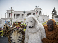 Demonstrators march during a rally calling for action on climate change on November 29, 2015 in Rome a day before the launch of the COP21 co...