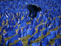 A man places flags at a visual exhibit organized by the Fight Colorectal Cancer organization on the National Mall in Washington, D.C. on Mar...