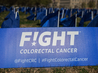 A visual exhibit organized by the Fight Colorectal Cancer organization is displayed on the National Mall in Washington, D.C. on March 16, 20...