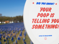 A visual exhibit organized by the Fight Colorectal Cancer organization is displayed on the National Mall in Washington, D.C. on March 16, 20...