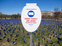 A visual exhibit organized by the Fight Colorectal Cancer organization is displayed on the National Mall in Washington, D.C. on March 16, 20...