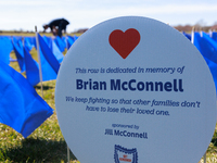 A visual exhibit organized by the Fight Colorectal Cancer organization is displayed on the National Mall in Washington, D.C. on March 16, 20...