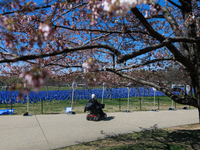 People view a visual exhibit organized by the Fight Colorectal Cancer organization on the National Mall in Washington, D.C. on March 16, 202...