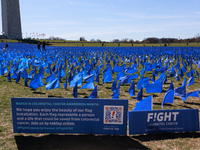 A visual exhibit organized by the Fight Colorectal Cancer organization is displayed on the National Mall in Washington, D.C. on March 16, 20...