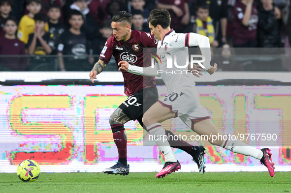 Pasquale Mazzocchi of US Salernitana and Andrea Cambiaso of Bologna FC compete for the ball during the Serie A match between US Salernitana...