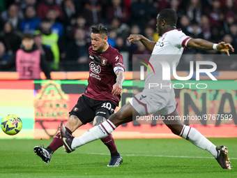 Pasquale Mazzocchi of US Salernitana and Adama Soumaoro of Bologna FC compete for the ball during the Serie A match between US Salernitana a...