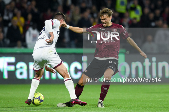 Emil Bohinen of US Salernitana and Nikola Moro of Bologna FC compete for the ball during the Serie A match between US Salernitana and Bologn...