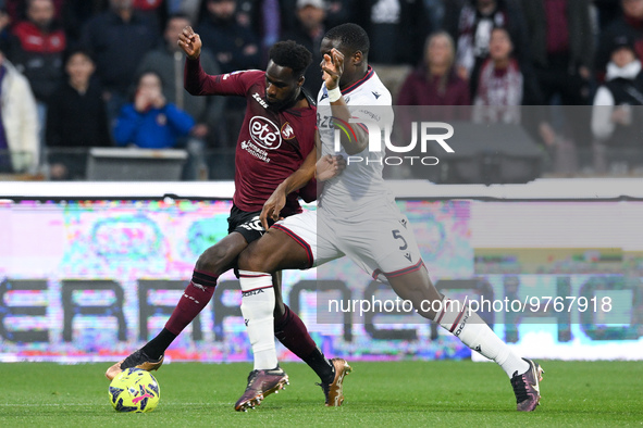 Boulaye Dia of US Salernitana and Adama Soumaoro of Bologna FC compete for the ball during the Serie A match between US Salernitana and Bolo...