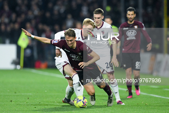 Jerdy Schouten of Bologna FC and Emil Bohinen of US Salernitana compete for the ball during the Serie A match between US Salernitana and Bol...