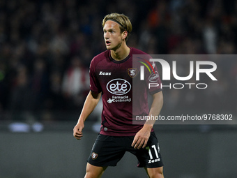 Erik Botheim of US Salernitana looks on during the Serie A match between US Salernitana and Bologna FC at Stadio Arechi, Salerno, Italy on M...