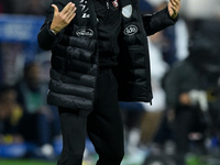 Paulo Sousa manager of US Salernitana yells during the Serie A match between US Salernitana and Bologna FC at Stadio Arechi, Salerno, Italy...