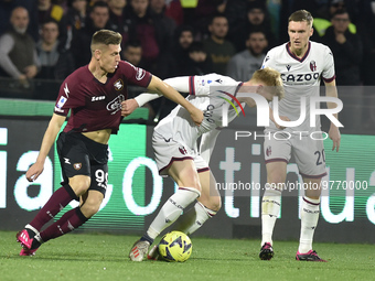 Krzysztof Piatek of US Salernitana  competes for the ball with Jerdy Schouten of Bologna FC   during the Serie A match between US Salernitan...