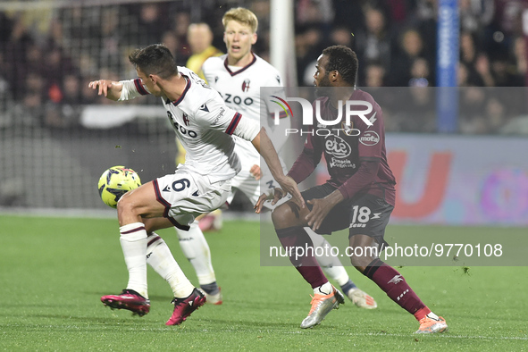 Nikola Moro of Bologna FC  competes for the ball with Lassana Coulibaly of US Salernitana   during the Serie A match between US Salernitana...