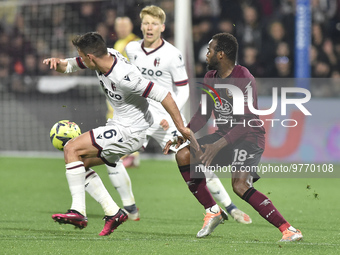 Nikola Moro of Bologna FC  competes for the ball with Lassana Coulibaly of US Salernitana   during the Serie A match between US Salernitana...