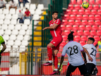 Pablo Mari (#3 AC Monza) during AC Monza against US Cremonese, Serie A, at U-Power Stadium in Monza on March, 18th 2023. (