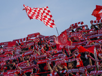 Team of AC Monza fans during AC Monza against US Cremonese, Serie A, at U-Power Stadium in Monza on March, 18th 2023. (