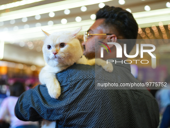 Felines and their friends gather, and around nine exotic breeds of house cats participated in the Championship, the event was held by the Fe...