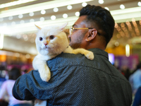 Felines and their friends gather, and around nine exotic breeds of house cats participated in the Championship, the event was held by the Fe...