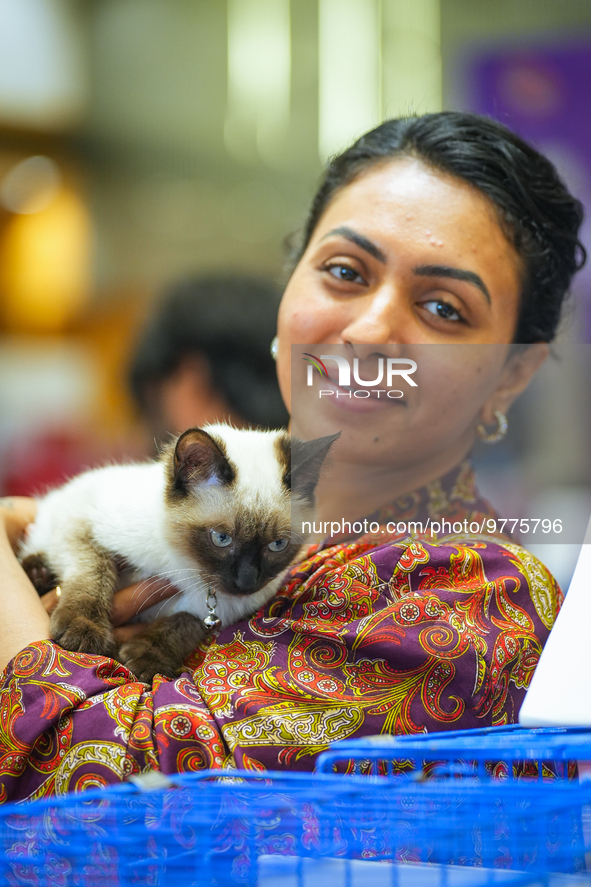 Felines and their friends gather, and around nine exotic breeds of house cats participated in the Championship, the event was held by the Fe...