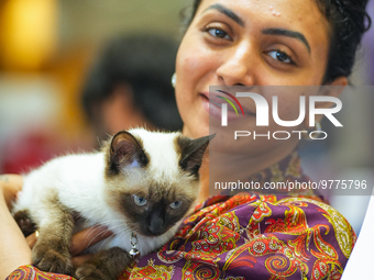 Felines and their friends gather, and around nine exotic breeds of house cats participated in the Championship, the event was held by the Fe...