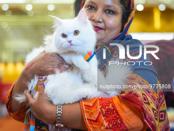 Felines and their friends gather, and around nine exotic breeds of house cats participated in the Championship, the event was held by the Fe...