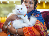 Felines and their friends gather, and around nine exotic breeds of house cats participated in the Championship, the event was held by the Fe...