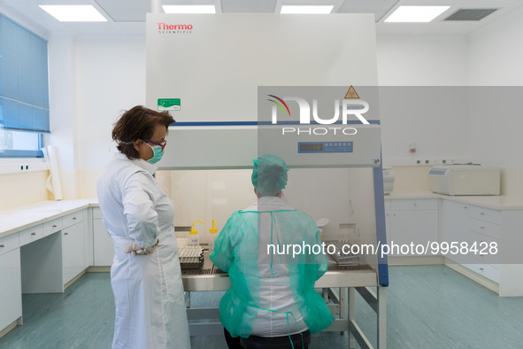 Two health workers in personal protective equipment PPE are conducting COVID-19 PCR tests procedure in the laboratory of the Hellenic Nation...