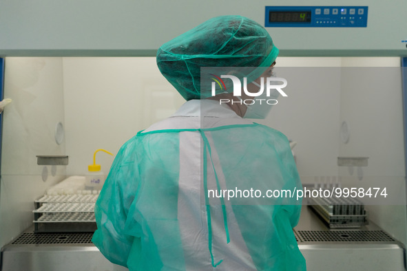 A health worker in personal protective equipment PPE is conducting COVID-19 PCR tests procedure in the laboratory of the Hellenic National B...