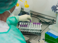 A health worker in personal protective equipment PPE is conducting COVID-19 PCR tests procedure in the laboratory of the Hellenic National B...