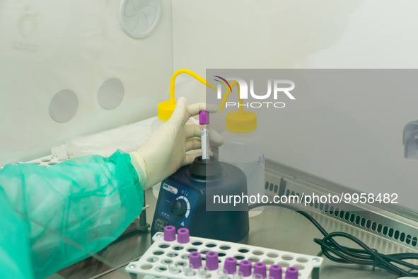 A health worker in personal protective equipment PPE is conducting COVID-19 PCR tests procedure in the laboratory of the Hellenic National B...