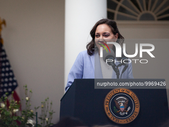 Teacher of the Year Rebecka Paterson speaks at an event honoring Teachers of the Year in the White House Rose Garden.  The teachers were cho...