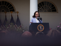 Teacher of the Year Rebecka Paterson speaks at an event honoring Teachers of the Year in the White House Rose Garden.  The teachers were cho...